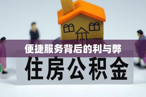 塔城便捷服务背后的利与弊
