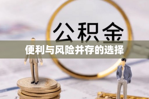 塔城便利与风险并存的选择