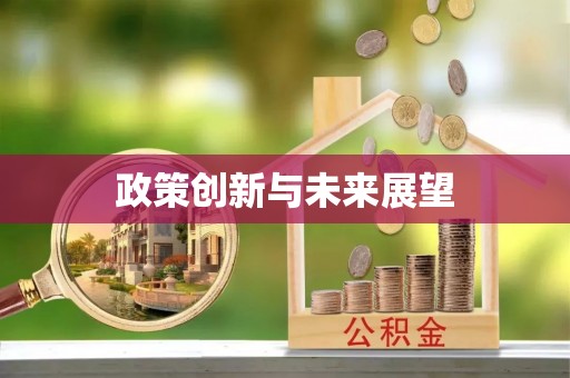 塔城政策创新与未来展望