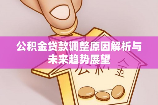 塔城公积金贷款调整原因解析与未来趋势展望