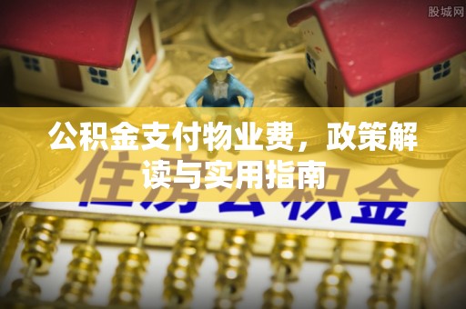 塔城公积金支付物业费，政策解读与实用指南