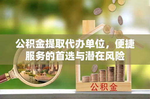塔城公积金提取代办单位，便捷服务的首选与潜在风险