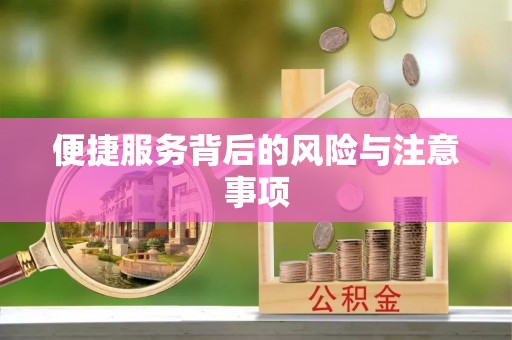塔城便捷服务背后的风险与注意事项